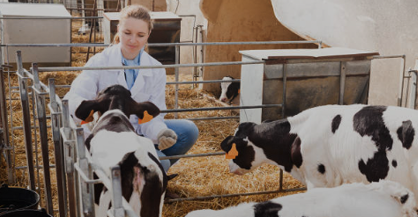 Mitgliedschaft in der Tierärztlichen Vereinigung
für Tierschutz e. V.