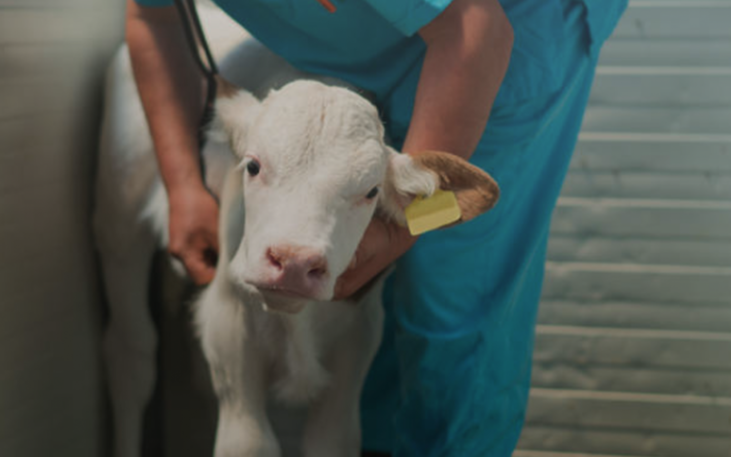 Wissenschaftlich fundierter Tierschutz – kompetent, wirksam, zielgerichtet.