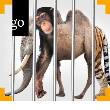 wildtiere-menschliche-obhut.jpg